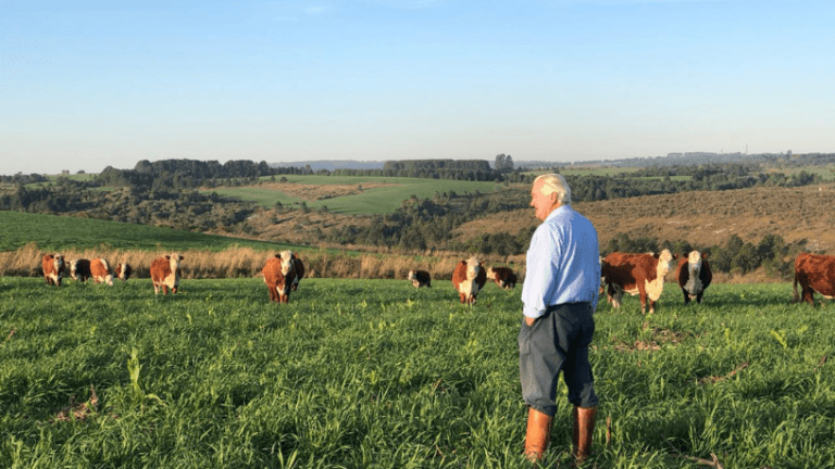 O papel das commodities agrícolas na balança comercial brasileira Aldo Vendramin destaca o papel das commodities agrícolas na balança comercial brasileira.